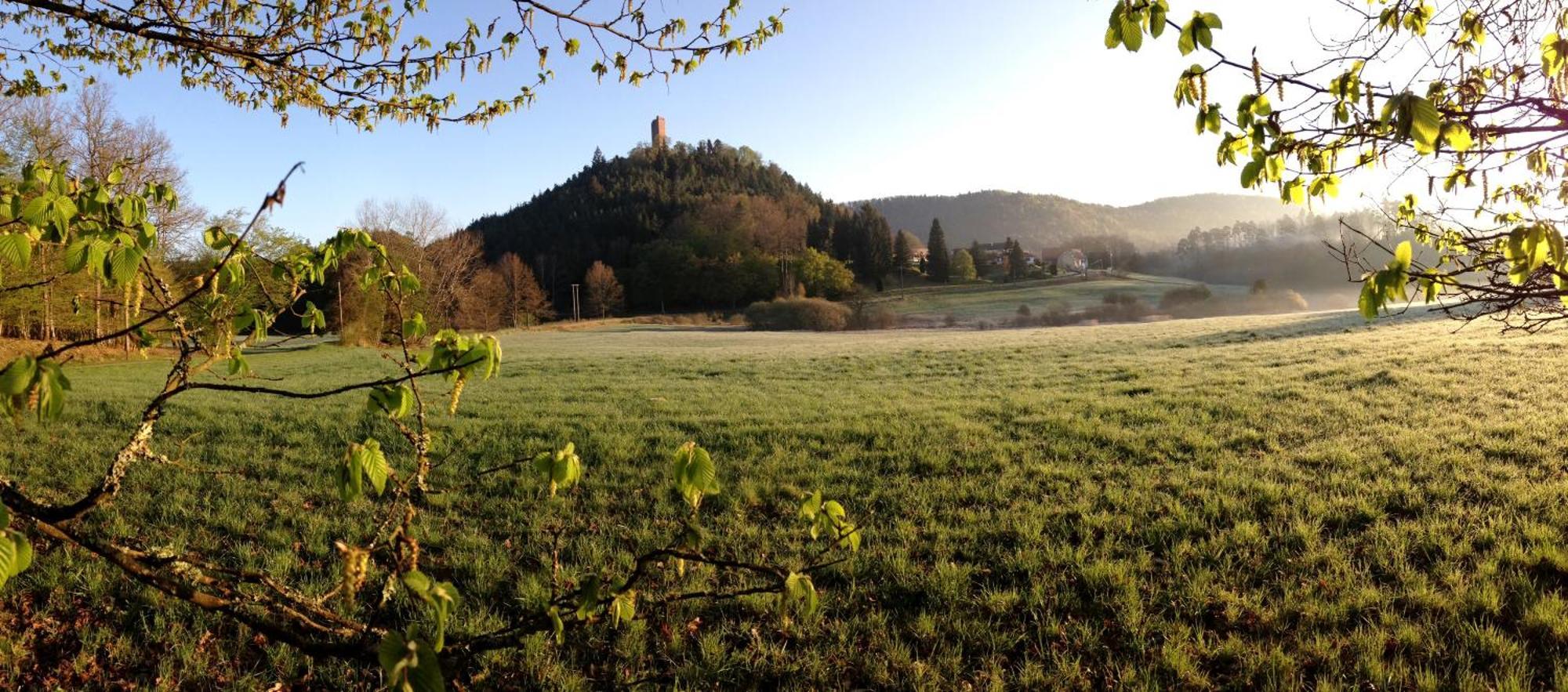 Le Gite De L'Ecureuil Sturzelbronn 외부 사진