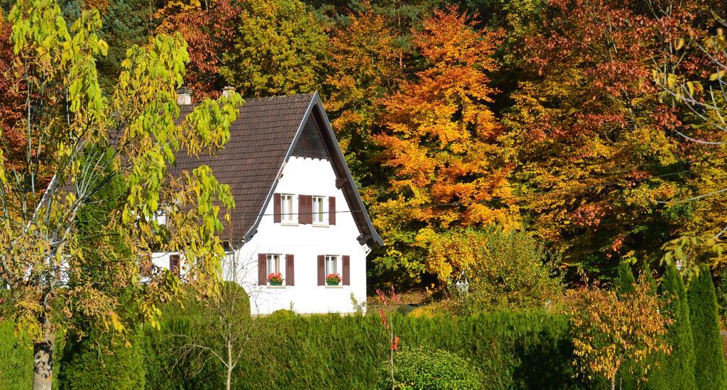 Le Gite De L'Ecureuil Sturzelbronn 외부 사진
