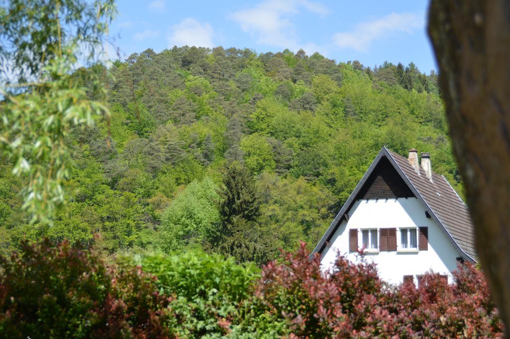 Le Gite De L'Ecureuil Sturzelbronn 외부 사진