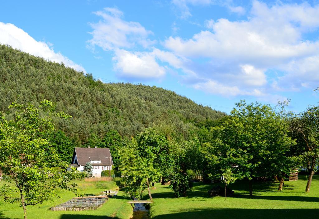 Le Gite De L'Ecureuil Sturzelbronn 외부 사진