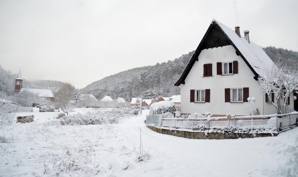 Le Gite De L'Ecureuil Sturzelbronn 외부 사진