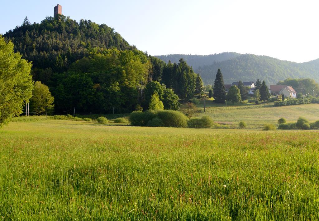 Le Gite De L'Ecureuil Sturzelbronn 외부 사진