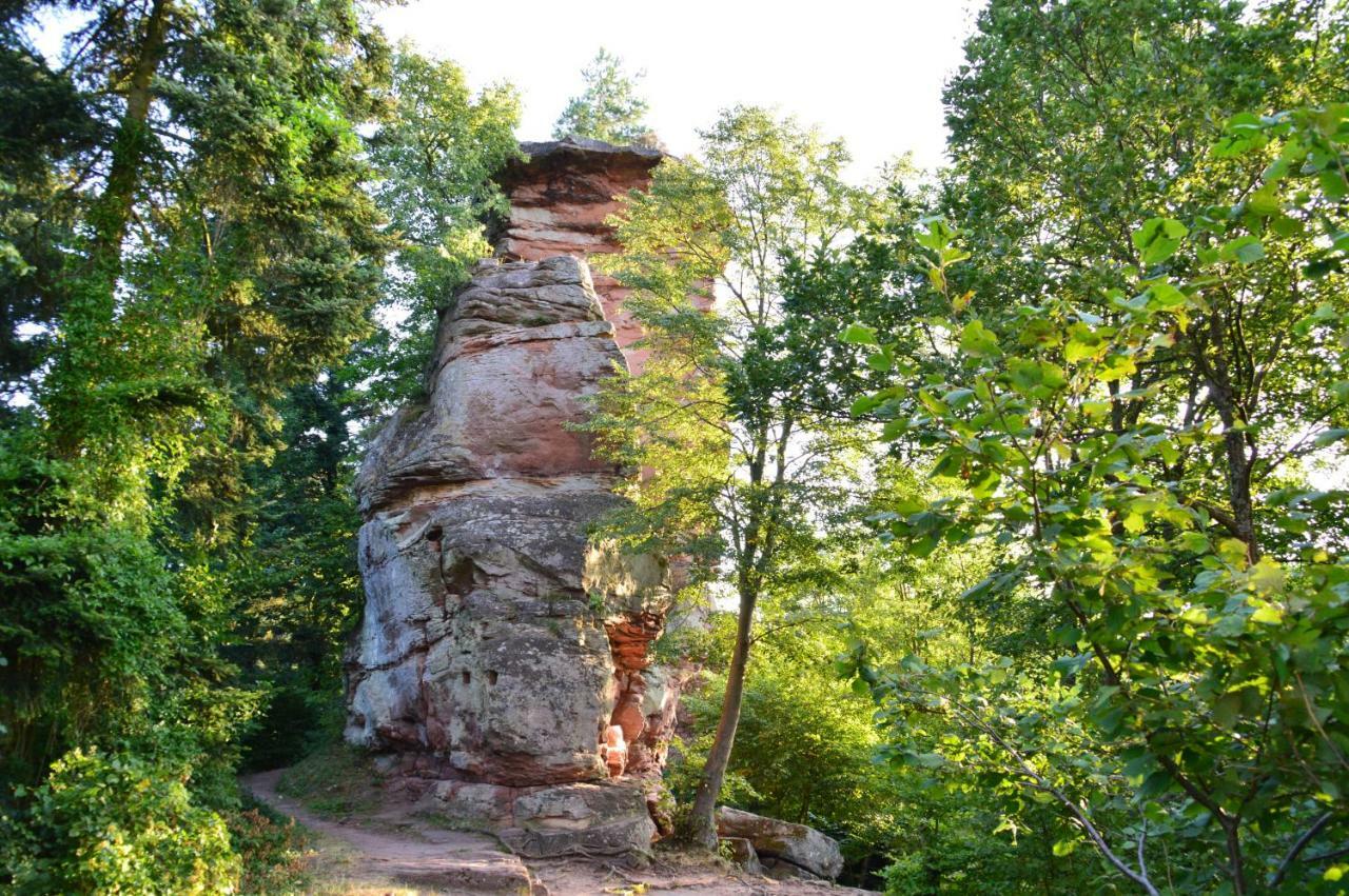 Le Gite De L'Ecureuil Sturzelbronn 외부 사진